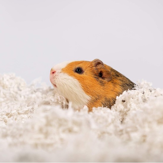 Uber Soft Paper Pet Bedding for Small Animals, White, 56 L Uber Soft Paper Pet Bedding for Small Animals, White, 56 L