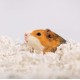 Uber Soft Paper Pet Bedding for Small Animals, White, 56 L Uber Soft Paper Pet Bedding for Small Animals, White, 56 L