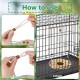 salbsever Bearded Dragon Hammock Reptile Hammock Beard Dragon Accessories Reptile Hanging Bed for Chameleon Birds Rat Hamster Iguana Leopard Gecko salbsever Bearded Dragon Hammock Reptile Hammock Beard Dragon Accessories Reptile Hanging Bed for Chameleon Birds Rat Hamster Iguana Leopard Gecko
