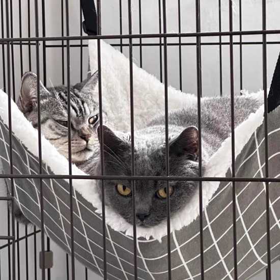 syiyunran Cat Hammock Cage Cat Hammock Small Animal Bed with Metal Carabiners Adjustable Comfortable Soft Double-Sided Strap for Cats, Small Dogs, Rabbits etc. (L syiyunran Cat Hammock Cage Cat Hammock Small Animal Bed with Metal Carabiners Adjustable Comfortable Soft Double-Sided Strap for Cats, Small Dogs, Rabbits etc. (L