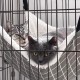 syiyunran Cat Hammock Cage Cat Hammock Small Animal Bed with Metal Carabiners Adjustable Comfortable Soft Double-Sided Strap for Cats, Small Dogs, Rabbits etc. (L syiyunran Cat Hammock Cage Cat Hammock Small Animal Bed with Metal Carabiners Adjustable Comfortable Soft Double-Sided Strap for Cats, Small Dogs, Rabbits etc. (L