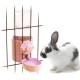 1L Rabbit Cage Automatic Feeder Bowl Small Animal Bucket Feeder with Lid for Rabbits Cat Ferret Chinchilla Guinea Pig 1L Rabbit Cage Automatic Feeder Bowl Small Animal Bucket Feeder with Lid for Rabbits Cat Ferret Chinchilla Guinea Pig