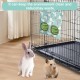 AOEVUIR 2 Fenster Waschbare Hängende Heutasche Heu-Futterbeutel Futterstation für Hasen Chinchillas Hamster und kleine Haustiere Grün AOEVUIR 2 Fenster Waschbare Hängende Heutasche Heu-Futterbeutel Futterstation für Hasen Chinchillas Hamster und kleine Haustiere Grün