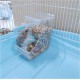 Andiker Automatic Hamster Feeder, 300ml Transparent Acrylic Automatic Feeder for Hamsters, Hedgehogs, Squirrels, Guinea Pigs and Birds (300ml)