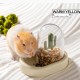 Automatic Feeder Hamster, Small Animal Feeder, Hamster Accessories, Hamster Bowl, for Hamsters, Birds, Pigeons, Parrots, Mini Hedgehogs (Yellow)
