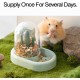 Automatic Feeder Hamster, Small Animal Feeder, Hamster Accessories, Hamster Bowl, for Hamsters, Birds, Pigeons, Parrots, Mini Hedgehogs (Yellow)
