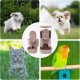 Automatic Food and Water Dispenser for Pets, Hanging Feeder, Automatic Feeder for Small Pets - Rabbits, Ferrets, Cats, Dogs, Birds (Green) Automatic Food and Water Dispenser for Pets, Hanging Feeder, Automatic Feeder for Small Pets - Rabbits, Ferrets, Cats, Dogs, Birds (Green)
