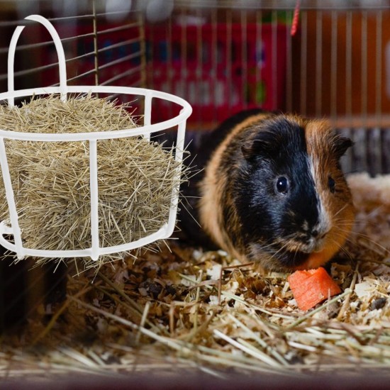 BESPORTBLE Rabbit Hay Feeder Metal Hanging Practical Hay Rack for Small Animals such as Guinea Pigs and Rabbits Space-Saving Prevents Waste and Keeps Hay Dry BESPORTBLE Rabbit Hay Feeder Metal Hanging Practical Hay Rack for Small Animals such as Guinea Pigs and Rabbits Space-Saving Prevents Waste and Keeps Hay Dry