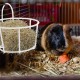 BESPORTBLE Rabbit Hay Feeder Metal Hanging Practical Hay Rack for Small Animals such as Guinea Pigs and Rabbits Space-Saving Prevents Waste and Keeps Hay Dry