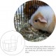 BESPORTBLE Rabbit Hay Feeder Metal Hanging Practical Hay Rack for Small Animals such as Guinea Pigs and Rabbits Space-Saving Prevents Waste and Keeps Hay Dry