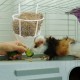 BESPORTBLE Rabbit Hay Feeder Metal Hanging Practical Hay Rack for Small Animals such as Guinea Pigs and Rabbits Space-Saving Prevents Waste and Keeps Hay Dry