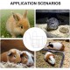 BESPORTBLE Rabbit Hay Feeder Metal Hanging Practical Hay Rack for Small Animals such as Guinea Pigs and Rabbits Space-Saving Prevents Waste and Keeps Hay Dry