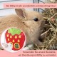 Bunny Feeder for Cage Accessories Rabbit Hay Feeding Bag, JanYoo Guinea Pig Hay Bag Hay Bag All Saints Day (Pumpkin) Bunny Feeder for Cage Accessories Rabbit Hay Feeding Bag, JanYoo Guinea Pig Hay Bag Hay Bag All Saints Day (Pumpkin)