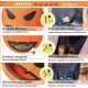 Bunny Feeder for Cage Accessories Rabbit Hay Feeding Bag, JanYoo Guinea Pig Hay Bag Hay Bag All Saints Day (Pumpkin) Bunny Feeder for Cage Accessories Rabbit Hay Feeding Bag, JanYoo Guinea Pig Hay Bag Hay Bag All Saints Day (Pumpkin)