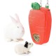 Bunny Feeder for Cage Accessories Rabbit Hay Feeding Bag, JanYoo Guinea Pig Hay Bag Hay Bag All Saints Day (Pumpkin) Bunny Feeder for Cage Accessories Rabbit Hay Feeding Bag, JanYoo Guinea Pig Hay Bag Hay Bag All Saints Day (Pumpkin)