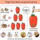 Bunny Feeder for Cage Accessories Rabbit Hay Feeding Bag, JanYoo Guinea Pig Hay Bag Hay Bag All Saints Day (Pumpkin) Bunny Feeder for Cage Accessories Rabbit Hay Feeding Bag, JanYoo Guinea Pig Hay Bag Hay Bag All Saints Day (Pumpkin)