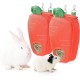 Bunny Feeder for Cage Accessories Rabbit Hay Feeding Bag, JanYoo Guinea Pig Hay Bag Hay Bag All Saints Day (Pumpkin) Bunny Feeder for Cage Accessories Rabbit Hay Feeding Bag, JanYoo Guinea Pig Hay Bag Hay Bag All Saints Day (Pumpkin)