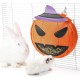 Bunny Feeder for Cage Accessories Rabbit Hay Feeding Bag, JanYoo Guinea Pig Hay Bag Hay Bag All Saints Day (Pumpkin) Bunny Feeder for Cage Accessories Rabbit Hay Feeding Bag, JanYoo Guinea Pig Hay Bag Hay Bag All Saints Day (Pumpkin)
