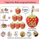 Bunny Feeder for Cage Accessories Rabbit Hay Feeding Bag, JanYoo Guinea Pig Hay Bag Hay Bag All Saints Day (Pumpkin) Bunny Feeder for Cage Accessories Rabbit Hay Feeding Bag, JanYoo Guinea Pig Hay Bag Hay Bag All Saints Day (Pumpkin)