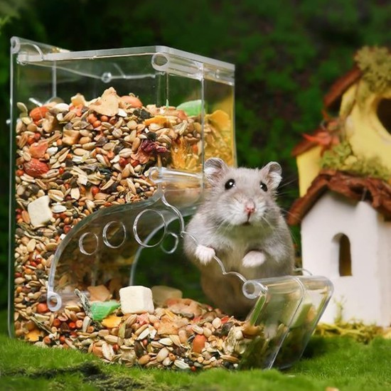 Deosdum Automatic Hamster Feeder, Transparent Acrylic Small Animal Feeder with Large Capacity for Guinea Pigs, Birds, Rabbits, Birds Deosdum Automatic Hamster Feeder, Transparent Acrylic Small Animal Feeder with Large Capacity for Guinea Pigs, Birds, Rabbits, Birds