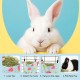 GGUFAY Kaninchen Heutasche, Meerschweinchen Futterstation, Futterspender Kleintiere, 2 Löcher Hängender Heutasche, Kleintiere Heutasche, Futtersack für Hase Chinchilla Hamster Kleine Tiere