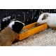 GuineaLoft™ Feeder Yellow - Farewell Traditional Bowls! Ultimate Feeder for Small Pets such as Guinea Pigs, Designed & Made by Experienced Owners GuineaLoft™ Feeder Yellow - Farewell Traditional Bowls! Ultimate Feeder for Small Pets such as Guinea Pigs, Designed & Made by Experienced Owners