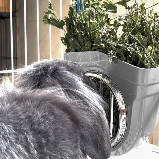 Hay Rack Rabbit, Hanging Feeder for Small Animals, Chinchilla, Guinea Pigs (Grey) Hay Rack Rabbit, Hanging Feeder for Small Animals, Chinchilla, Guinea Pigs (Grey)