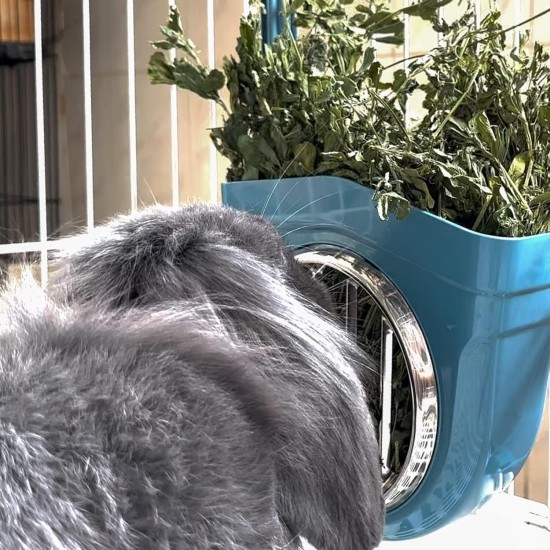 Hay Rack Rabbit, Hanging Feeder for Small Animals, Chinchilla, Guinea Pigs (Grey) Hay Rack Rabbit, Hanging Feeder for Small Animals, Chinchilla, Guinea Pigs (Grey)