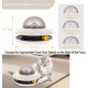 Interactive Automatic Cat Feeder Toy with Built-in Rechargeable Battery 50 g / 1.76 oz for Dry Food Interactive Automatic Cat Feeder Toy with Built-in Rechargeable Battery 50 g / 1.76 oz for Dry Food