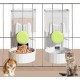 Kathson Rabbit Gravity Car Feeder Set 35 oz Hanging Automatic Food Water Dispenser Cage Automatic Feeder Set for Rabbits Chinchilla Guinea Pig Hedgehog Ferret Kitty Puppy (Green) Kathson Rabbit Gravity Car Feeder Set 35 oz Hanging Automatic Food Water Dispenser Cage Automatic Feeder Set for Rabbits Chinchilla Guinea Pig Hedgehog Ferret Kitty Puppy (Green)