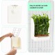 Kikuo Feeder for Hay (Metal Mesh & Plastic), Rabbit / Chinchilla Feeder / Large Guinea Pigs, Bowls for Pets & Small Animals - White Kikuo Feeder for Hay (Metal Mesh & Plastic), Rabbit / Chinchilla Feeder / Large Guinea Pigs, Bowls for Pets & Small Animals - White