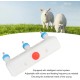 Lamb Feeder 3 Pacifiers Small Animal Milk Feeder Goat Milk Bottle Piglet Puppy Baby Lamp Kitten - Farm Drinking Equipment Multi Nipple Design Lamb Feeder 3 Pacifiers Small Animal Milk Feeder Goat Milk Bottle Piglet Puppy Baby Lamp Kitten - Farm Drinking Equipment Multi Nipple Design