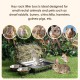 MOGOULUA 3 in 1 Kaninchen Heu Futterstation mit Edelstahl Katzentoilette und 2 Stucks Futternäpfe für Haustiere Heuraufe für Kleine Haustiere Kaninchen Hamster Meerschweinchen