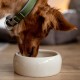 Nobby Carrot Ceramic Feeding Trough, Beige/Orange, 500 ml, Pack of 1