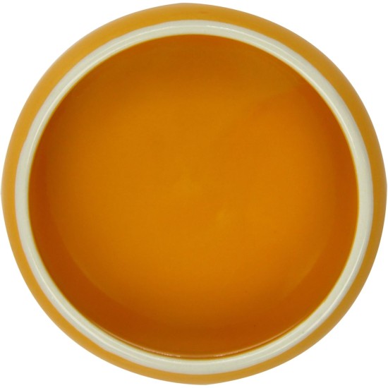 Nobby Carrot Ceramic Feeding Trough, Beige/Orange, 500 ml, Pack of 1 Nobby Carrot Ceramic Feeding Trough, Beige/Orange, 500 ml, Pack of 1