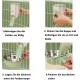 Pack of 2 Automatic Pet Food and Water Dispenser, Hanging Water Bottle, Feeder for Small Pets, Easy to Use (Green) Pack of 2 Automatic Pet Food and Water Dispenser, Hanging Water Bottle, Feeder for Small Pets, Easy to Use (Green)