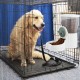 QWORK® 1 L Automatic Pet Feeder, 12 cm Outlet, Suitable for Small Animal Cages, Rabbit Hutch, Cat, Puppy, Guinea Pigs, Chinchilla, Bird QWORK® 1 L Automatic Pet Feeder, 12 cm Outlet, Suitable for Small Animal Cages, Rabbit Hutch, Cat, Puppy, Guinea Pigs, Chinchilla, Bird