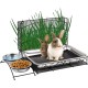 Svauoumu 3 in 1 Rabbit Hay Feeder and Rabbit Litter Tray with Waterproof Mat and Feeding Bowl for Guinea Pigs Hamster Feeder Cat Litter Tray Holder Svauoumu 3 in 1 Rabbit Hay Feeder and Rabbit Litter Tray with Waterproof Mat and Feeding Bowl for Guinea Pigs Hamster Feeder Cat Litter Tray Holder