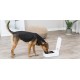 Trixie 24371 TX1 Automatic Feeder, 300 ml / 13 x 7 x 24 cm, Black / Charcoal Trixie 24371 TX1 Automatic Feeder, 300 ml / 13 x 7 x 24 cm, Black / Charcoal