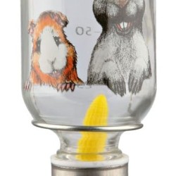 Trixie Honey and Hopper Glass Water Bottle, small, clear Trixie Honey and Hopper Glass Water Bottle, small, clear