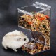 VERTUPET Hamster Feeder, Automatic Hamster Feeder, Large Capacity, Transparent, Gravity Feeding Station, Suitable for Hamsters, Guinea Pigs, Parrots, Mini Hedgehogs (300 ml) VERTUPET Hamster Feeder, Automatic Hamster Feeder, Large Capacity, Transparent, Gravity Feeding Station, Suitable for Hamsters, Guinea Pigs, Parrots, Mini Hedgehogs (300 ml)