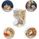 ZHYUAN Automatic Hamster Feeder, Automatic Pet Feeder, Small Pet Feeder for Hamsters, Guinea Pigs, Parrots, Mini Hedgehogs ZHYUAN Automatic Hamster Feeder, Automatic Pet Feeder, Small Pet Feeder for Hamsters, Guinea Pigs, Parrots, Mini Hedgehogs