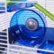 Rosewood Pico Hamster Wheel with Stand - Blue