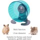 Rosewood Pico Hamster Wheel with Stand - Blue