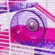 Rosewood Pico Hamster Wheel with Stand - Blue