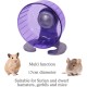 Rosewood Pico Hamster Wheel with Stand - Blue