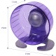 Rosewood Pico Hamster Wheel with Stand - Blue