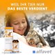 Alfavet RodiCare Acute, Pack of 1, 1 x 15 ml Alfavet RodiCare Acute, Pack of 1, 1 x 15 ml