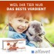 Alfavet RodiCare Dia, Supplementary Feed for Dwarf Rabbits and Guinea Pigs, Diarrhoea with Sodium Butyrate, Sugar-Free, 3 x 12 ml Injectors Alfavet RodiCare Dia, Supplementary Feed for Dwarf Rabbits and Guinea Pigs, Diarrhoea with Sodium Butyrate, Sugar-Free, 3 x 12 ml Injectors