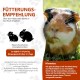 Alfavet RodiCare Dia, Supplementary Feed for Dwarf Rabbits and Guinea Pigs, Diarrhoea with Sodium Butyrate, Sugar-Free, 3 x 12 ml Injectors Alfavet RodiCare Dia, Supplementary Feed for Dwarf Rabbits and Guinea Pigs, Diarrhoea with Sodium Butyrate, Sugar-Free, 3 x 12 ml Injectors